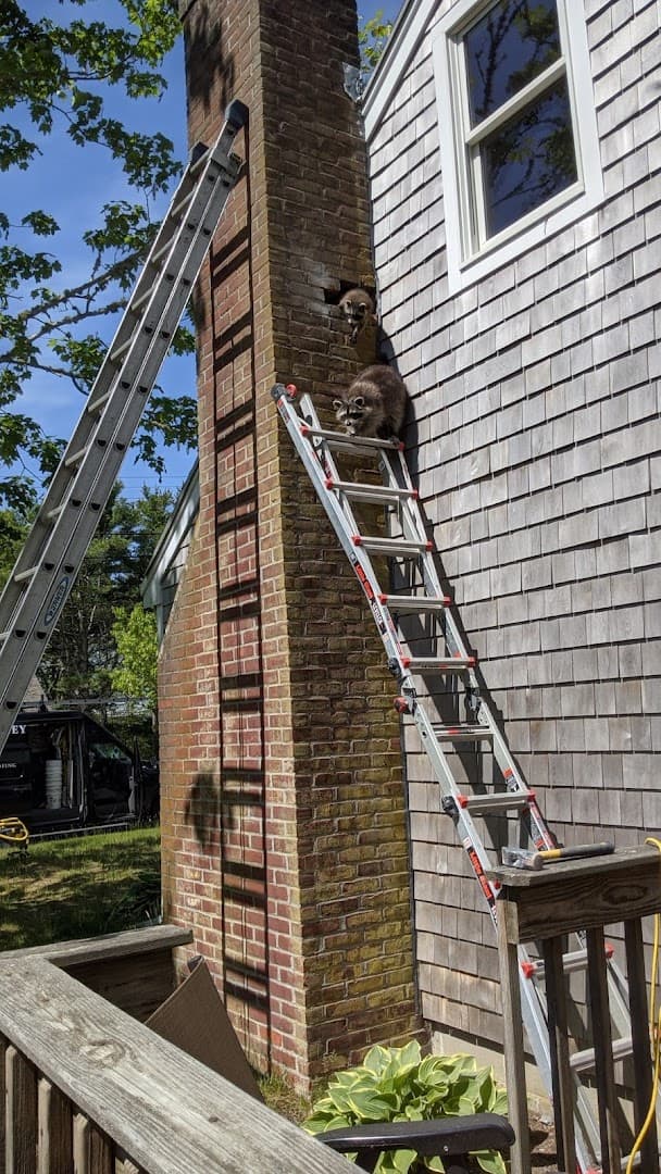 Bristol Chimney Sweeps chimney services work photo 5 - Professional chimney cleaning and repair in Fall River, Massachusetts