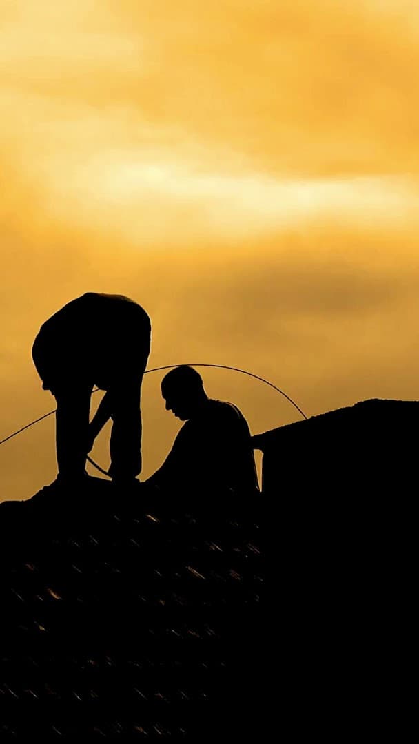 X Services™ thumbnail 2