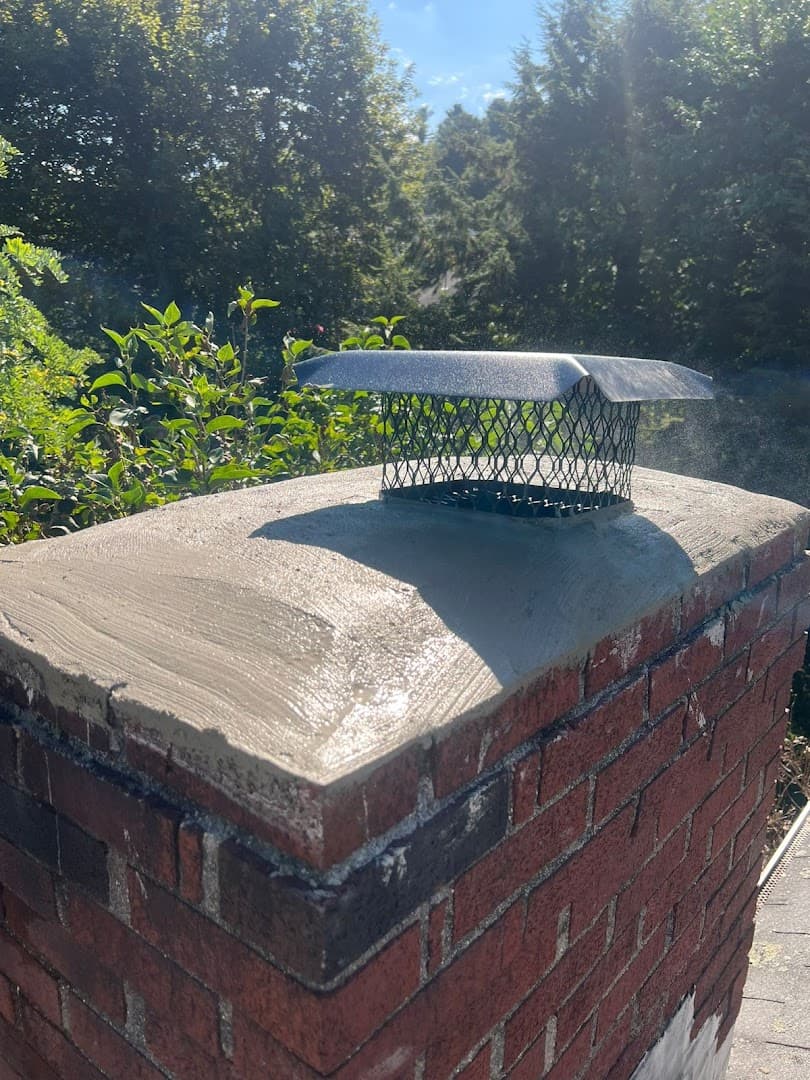 Ace Chimney Services - Professional chimney cleaning, inspection and repair services in Buffalo Grove, Illinois