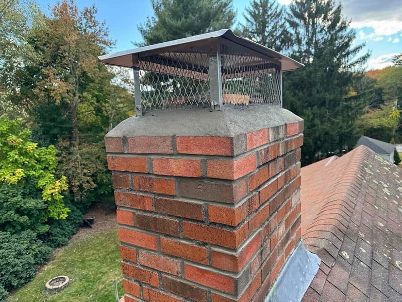 Master Chimney Sweepers