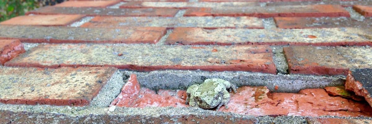 All Seasons Chimney Service chimney services work photo 5 - Professional chimney cleaning and repair in Cincinnati, Oregon