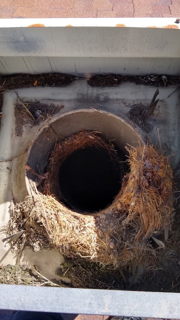 Sycamore Chimney Sweep thumbnail 4