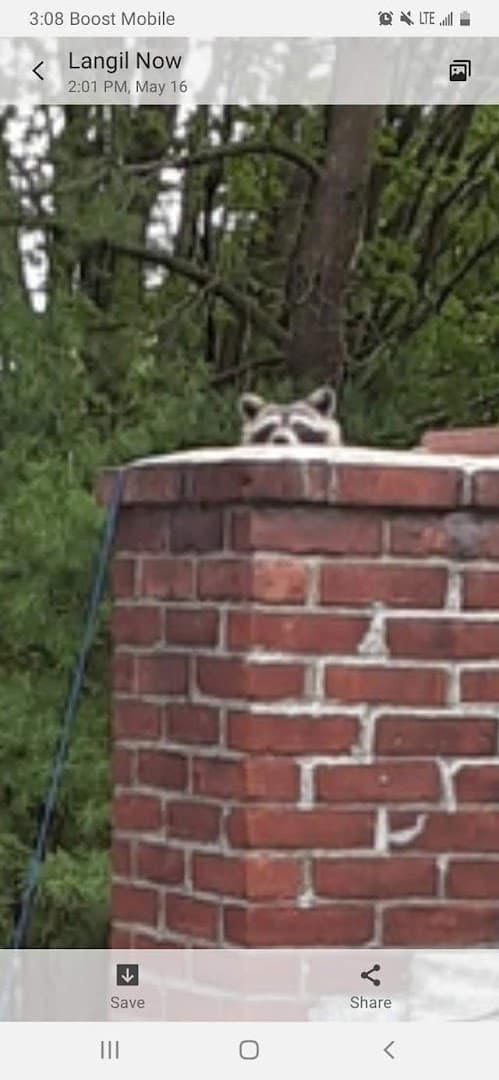 A Spotless Sweep Chimney Service thumbnail 2