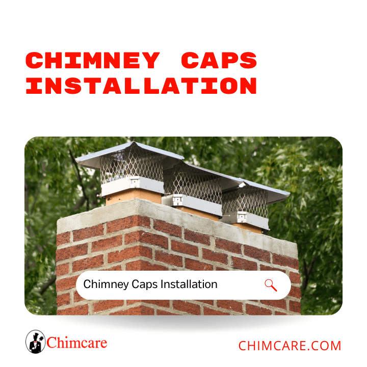Chimcare Milton thumbnail 3