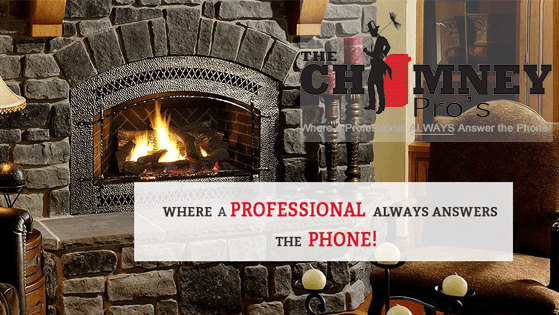 The Chimney Pro's - Professional chimney cleaning, inspection and repair services in Hudson, Wisconsin