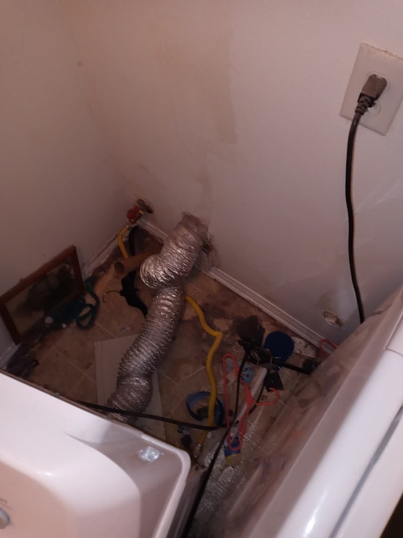 ABOVE ALL CHIMNEY SWEEP thumbnail 4