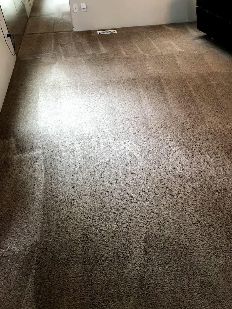 Aurora Edmonds Furnace Cleaning (AEFCleaning) thumbnail 4