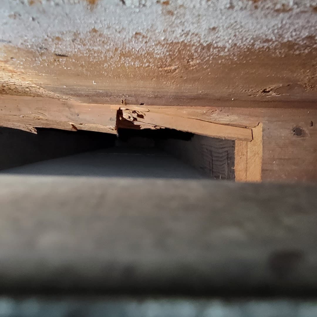 AirRiffic - Professional chimney cleaning, inspection and repair services in Hopkins, Oregon