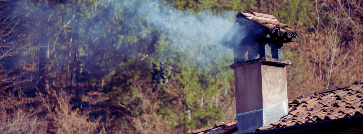 Peter & Sons Chimneys - Professional chimney cleaning, inspection and repair services in Moraga, California